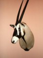 /album/afrika/big-oryx-1-jpg/